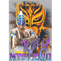 idol singer-GS  2436